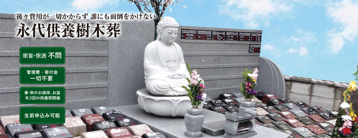 永代供養樹木葬